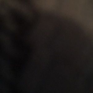 Meet your Posher, Jacko